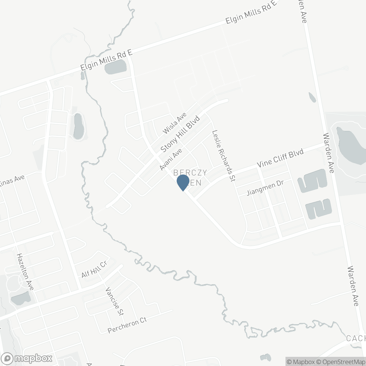 347 BERCZY GREEN DRIVE, Markham, Ontario L6C 3S7